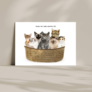 Viele Katzen im Korb Postkarte
